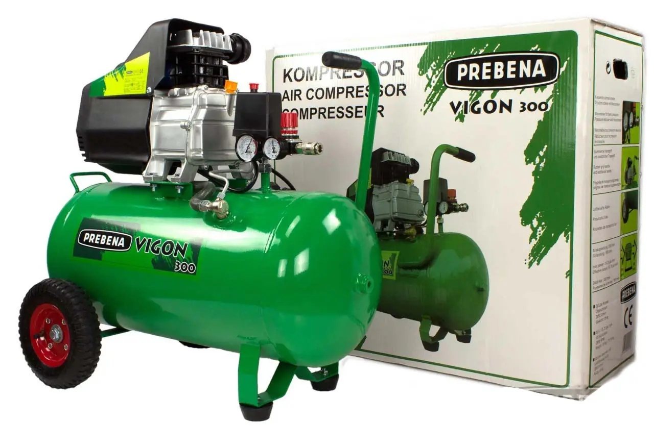 Compresor aire 50L VIGON300