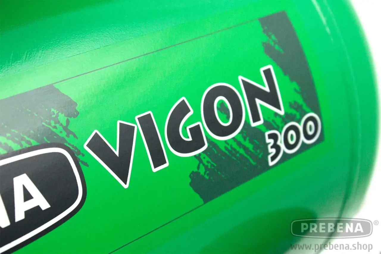 Compresor aire 50L VIGON300